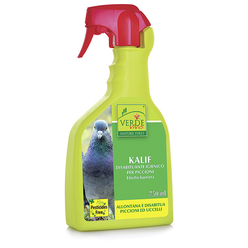 disabituante piccioni kalif