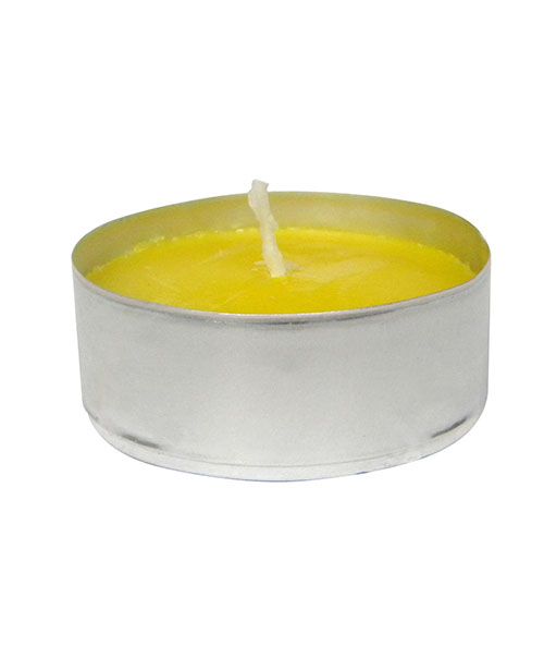 citronella maxi in vaschetta alluminio Ø 17 cm