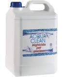 alghicida per piscine