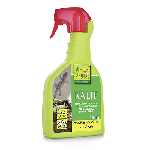 disabituante gechi e lucertole kalif